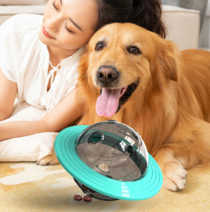 Dog mental stimulation toy, treat dispensing puzzle for pets, enriching playtime