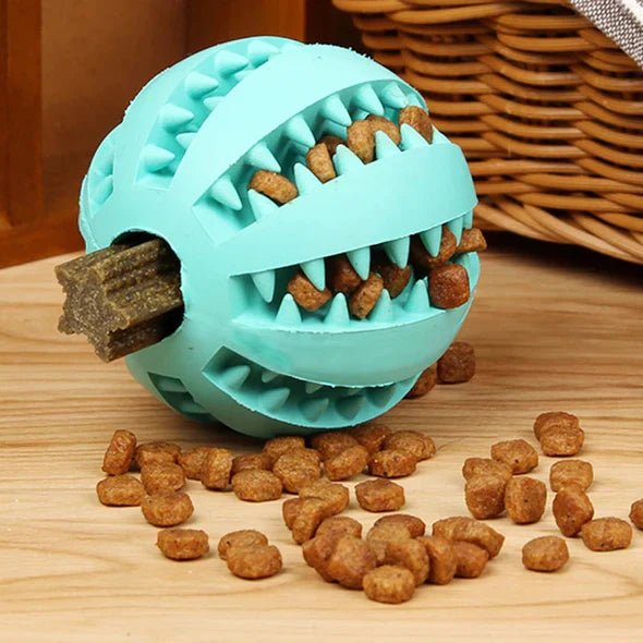 Pack of interactive dog treat dispensing chew balls, various sizes for dental health.