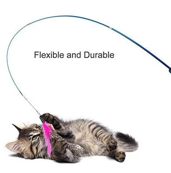 Close-up of a colorful feather cat wand, stimulating kitten playtime and interactive fun