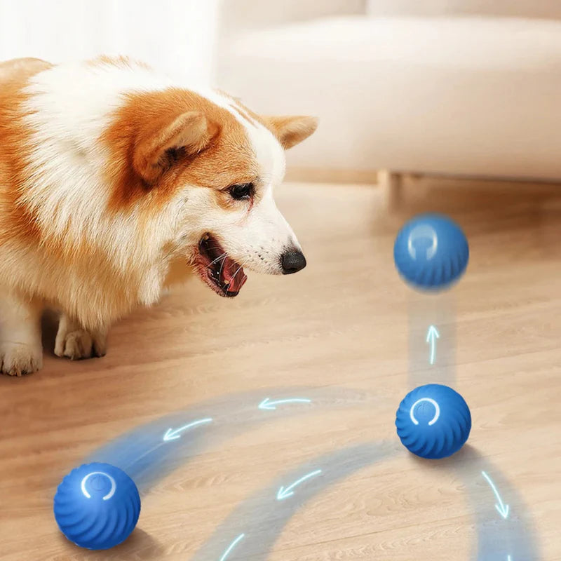 Interactive LED pet play ball, automatic dog toy with motion-activated lights for pet entertainment.