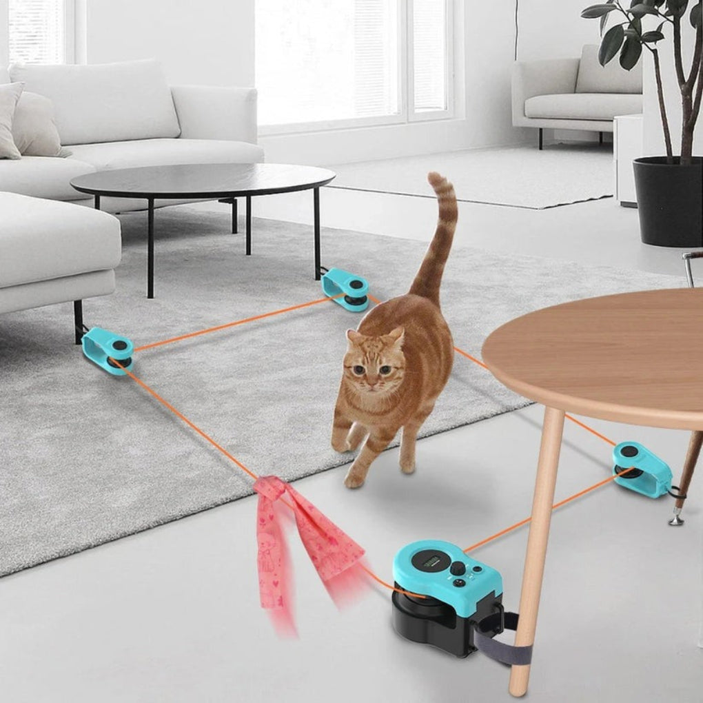 Rechargeable interactive cat toy with motion sensor to stimulate pet hunting instincts and provide endless entertainment.