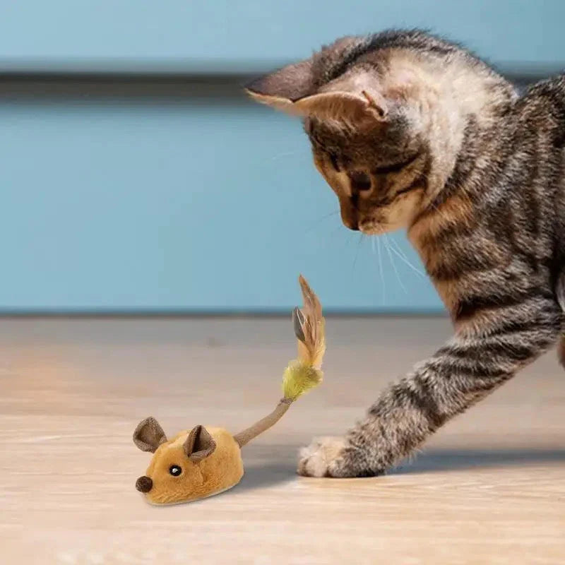Pet entertainment essential: moving mouse cat toy for physical activity and feline fun.