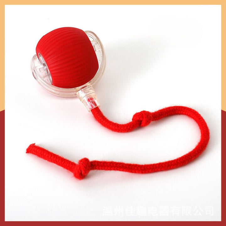 Close-up of interactive dog toy: play ball with textured blue tail for gripping
