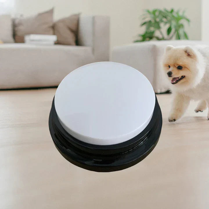 Dog actively engaging with interactive communication button