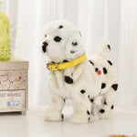 Dalmatian