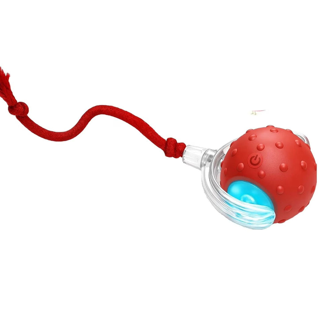 Self-rolling pet toy designed for dogs and cats, promoting exercise and mental stimulation