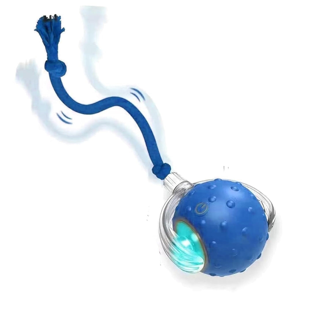 Unisex self-rolling toy for cats & dogs, offering hours of interactive playtime & exercise
