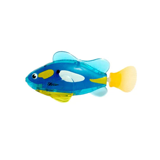Dog observing a lifelike swimming fish pettoy, ready for playful interaction