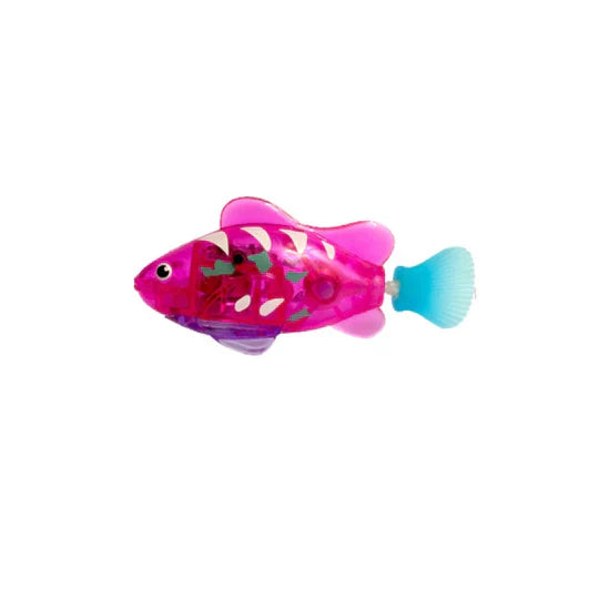 Vibrant swimming fish pettoy, encouraging playful interaction and healthy exercise