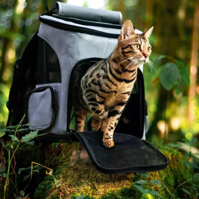 "Katzenrucksack mit Sichtfenster und Belüftung für bequeme Reisen im Wald, stilvolles Design, graue Farbe"