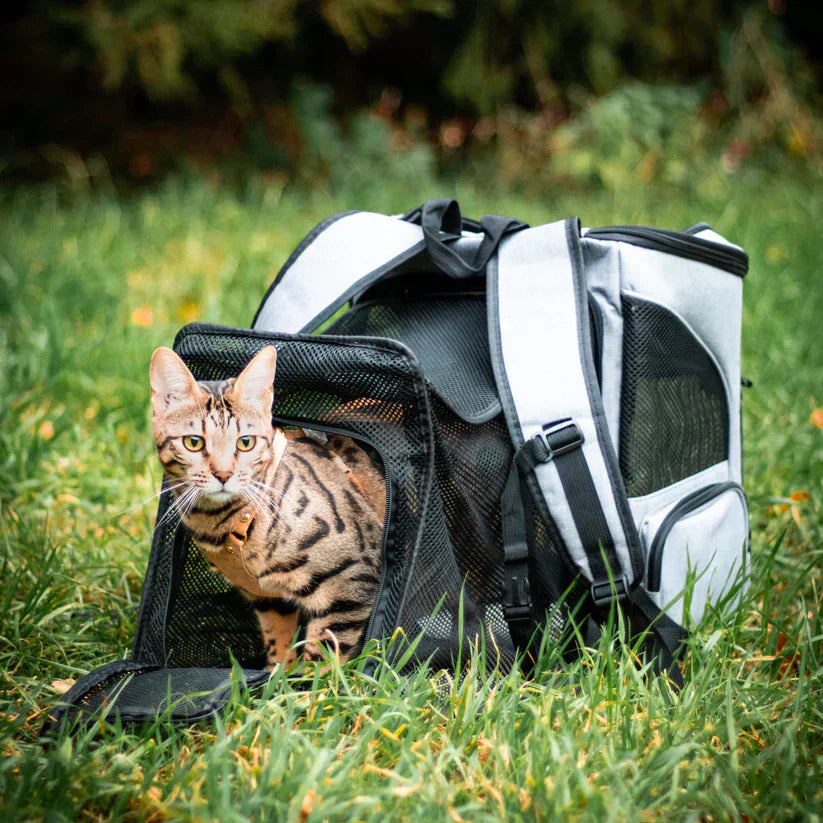 "Katzenrucksack mit Sichtfenster und Belüftung für bequeme Reisen im Wald, stilvolles Design, graue Farbe"