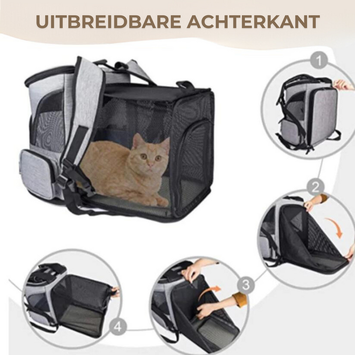 "Katzenrucksack mit Sichtfenster und Belüftung für bequeme Reisen im Wald, stilvolles Design, graue Farbe"