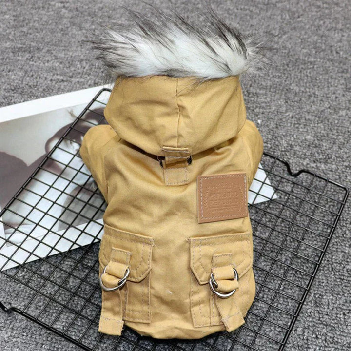 Stylish green winter dog clothes, a waterproof jacket with hood for pet cold weather adventures
