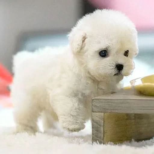 Movable interactive plush dog toy, an easy-care stuffed animal and cuddly companion for kids.