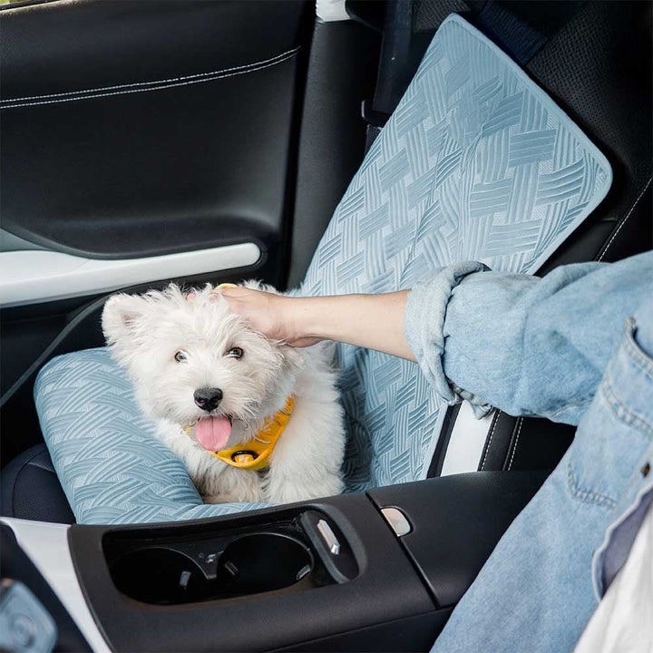 Large dog in a gray cooling bolster car seat, enjoying a comfortable ride in a vehicle.