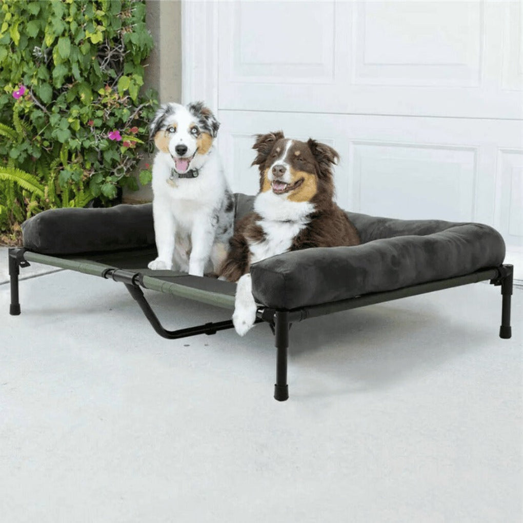 Outdoor dog bed featuring a large elevated bolster and breathable mesh for comfort.