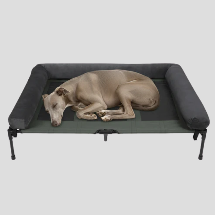Pet furniture, an elevated bolster dog bed with a washable cover for large breeds.