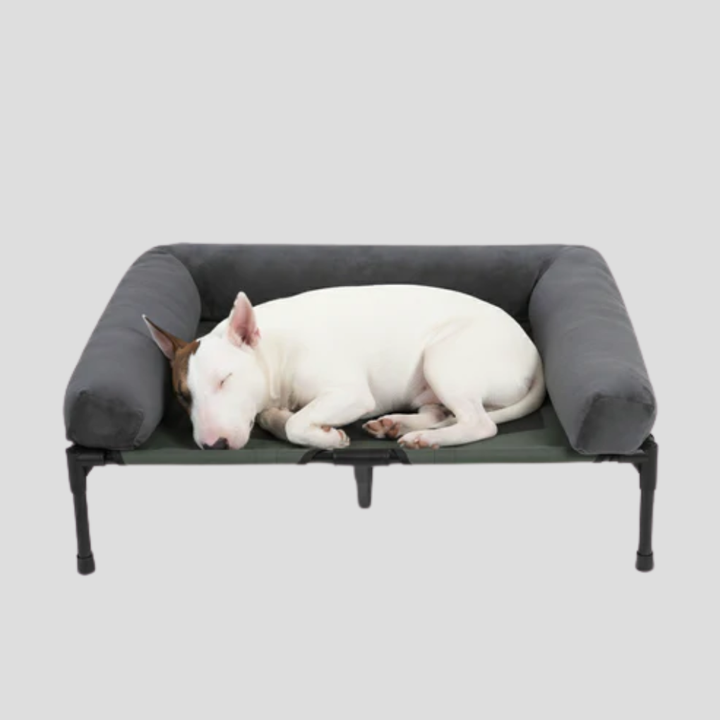 New4 large dog elevated bolster bed, perfect for ultimate comfort and support.