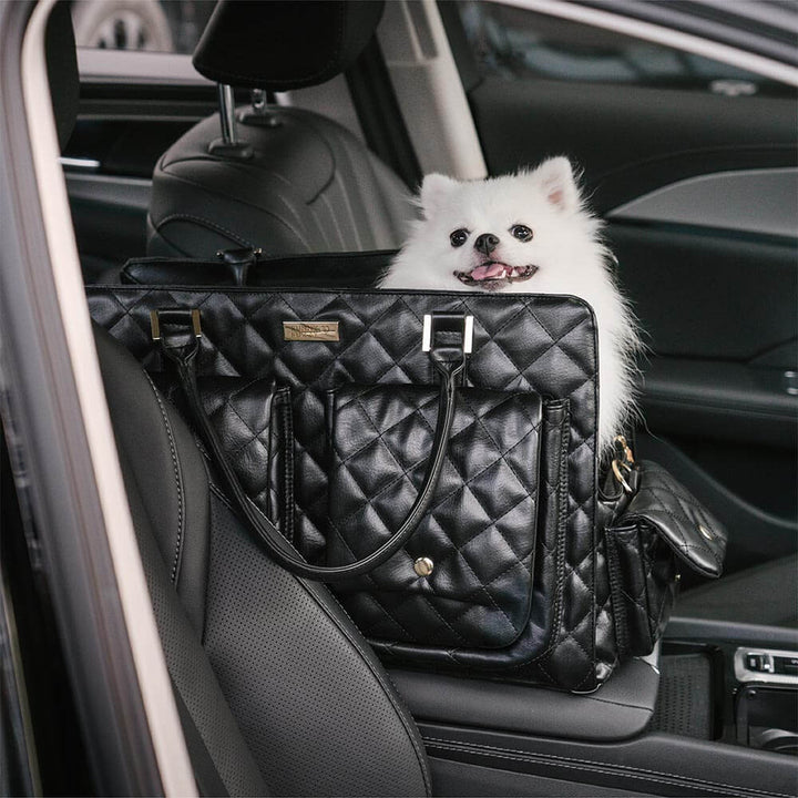 Large pet carrier for vet visits, black, with easy access points and good ventilation