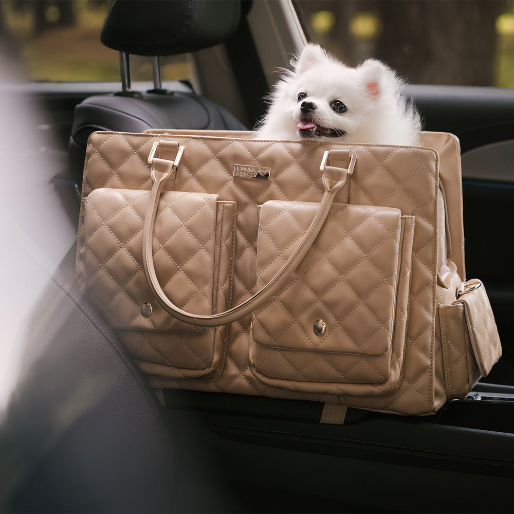 Durable pet travel bag, green, suitable for outdoor adventures with your dog or cat