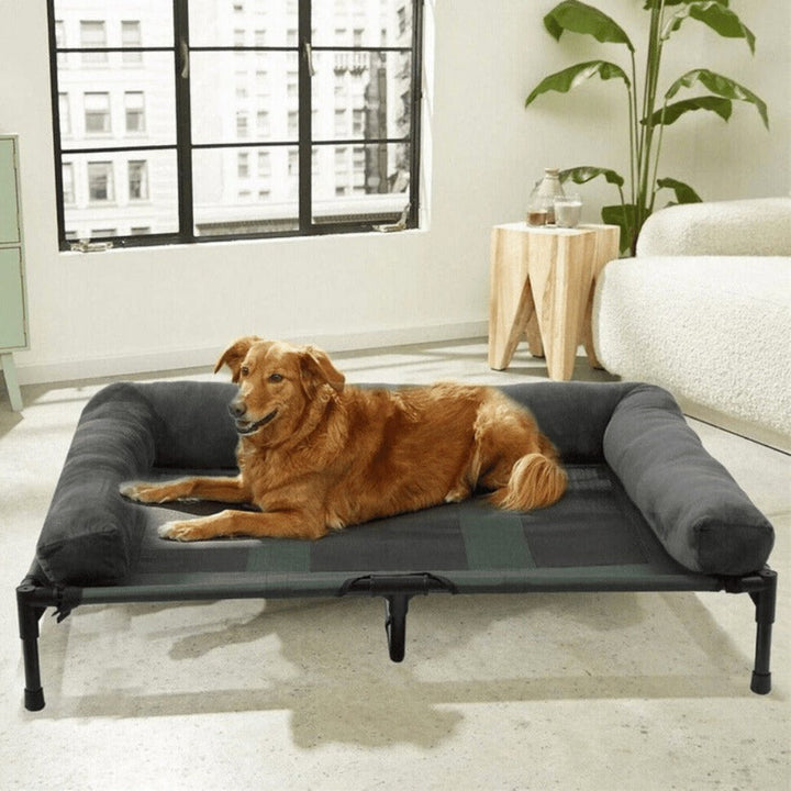 Large raised bolster dog bed with cooling airflow for comfort, ideal for big dogs, indoor/outdoor use.