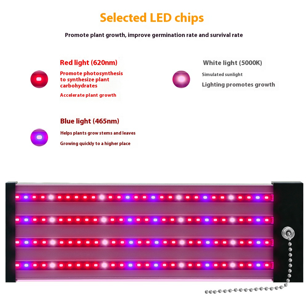 "LED Pflanzenlampe Vollspektrum, energieeffizient, mit Zugschalter, ideal für gesundes Pflanzenwachstum in Innenräumen."
