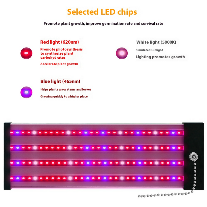 "LED Pflanzenlampe Vollspektrum, energieeffizient, mit Zugschalter, ideal für gesundes Pflanzenwachstum in Innenräumen."
