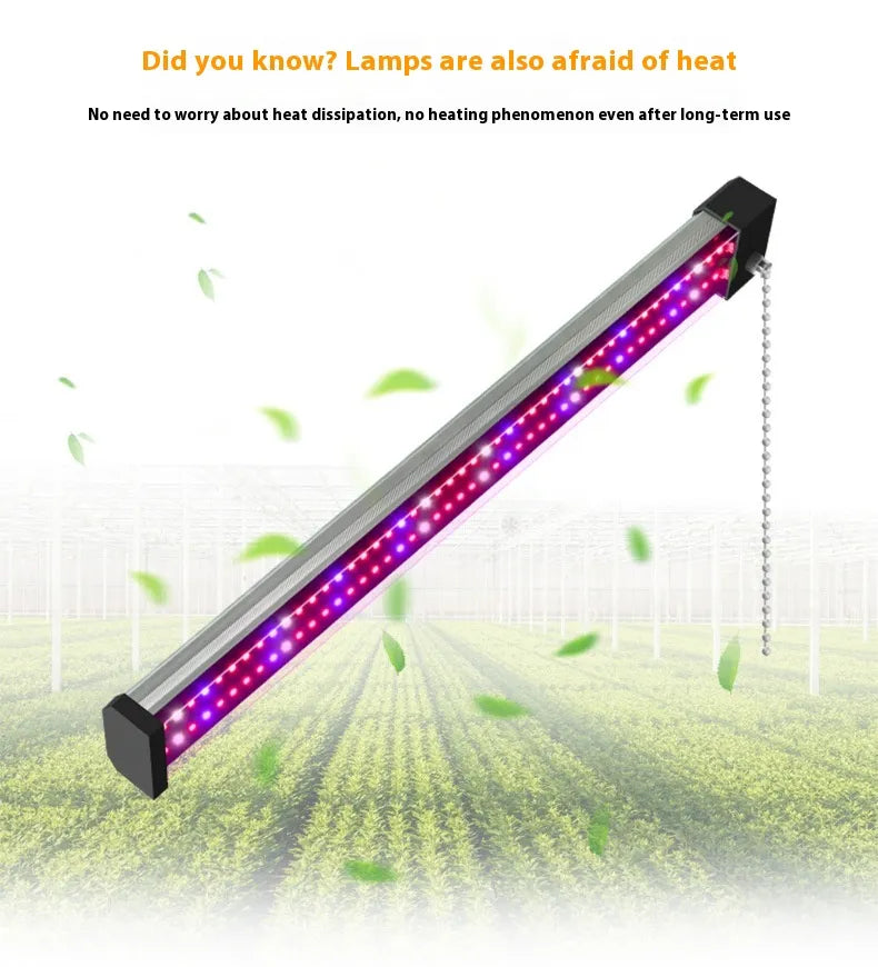 "LED Pflanzenlampe Vollspektrum, energieeffizient, mit Zugschalter, ideal für gesundes Pflanzenwachstum in Innenräumen."