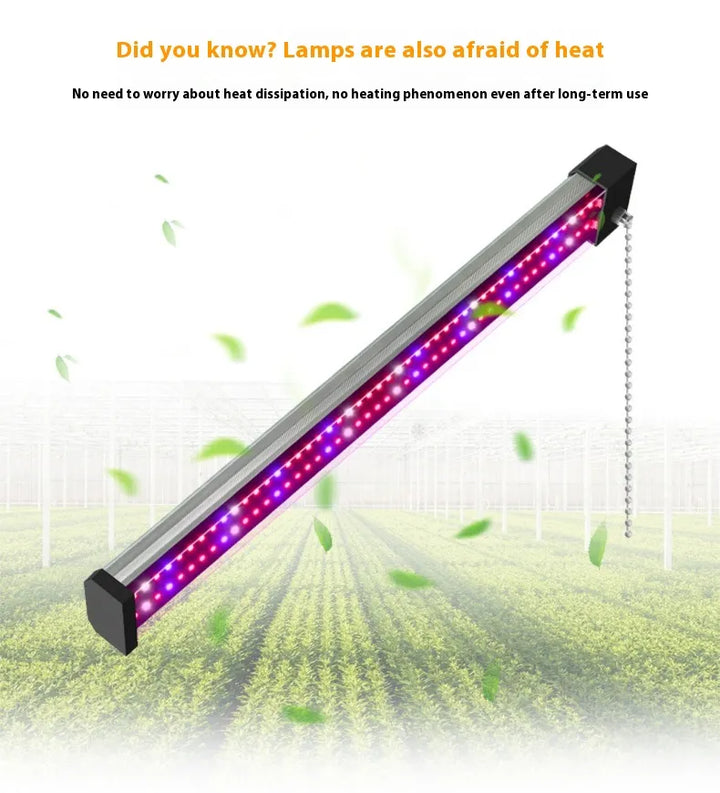 "LED Pflanzenlampe Vollspektrum, energieeffizient, mit Zugschalter, ideal für gesundes Pflanzenwachstum in Innenräumen."