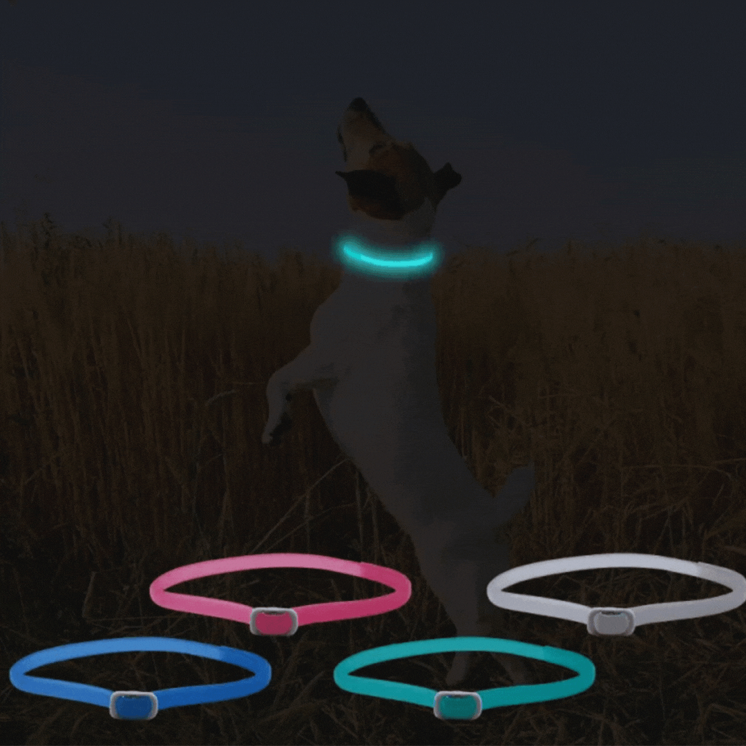 "Leuchtendes Floh- und Zeckenhalsband für Katzen & kleine Hunde, 8 Monate Schutz, erhöht Sichtbarkeit bei Nacht, wasserfest."