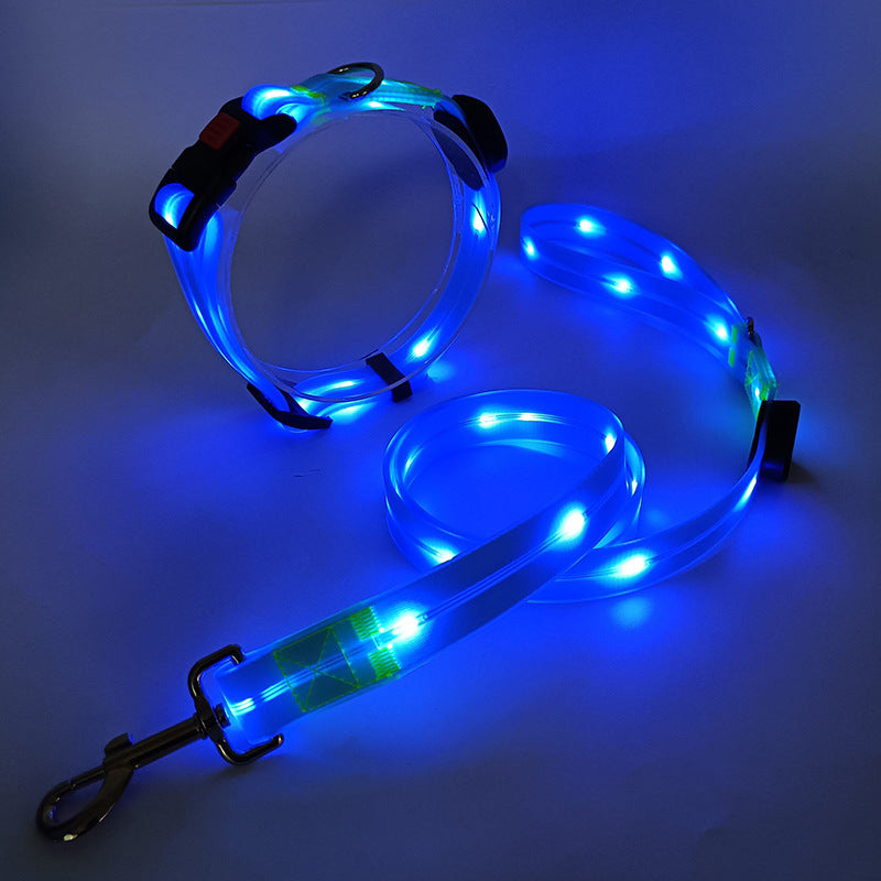 "Leuchtendes LED Hundehalsband und Leine, bunte LEDs, 360-Grad-Sichtbarkeit, sichere Nachtspaziergänge, robuster Nylonstoff."