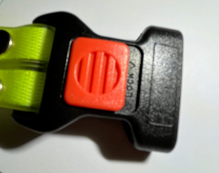 "Leuchtendes LED Hundehalsband und Leine, bunte LEDs, 360-Grad-Sichtbarkeit, sichere Nachtspaziergänge, robuster Nylonstoff."