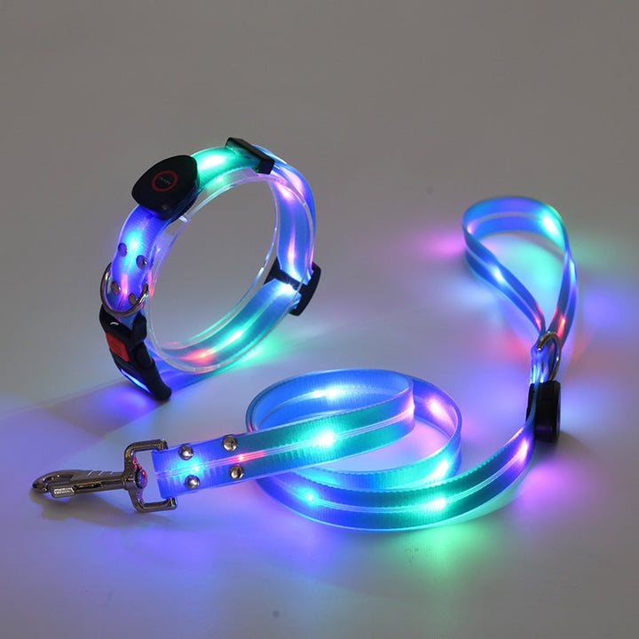 "Leuchtendes LED Hundehalsband und Leine, bunte LEDs, 360-Grad-Sichtbarkeit, sichere Nachtspaziergänge, robuster Nylonstoff."