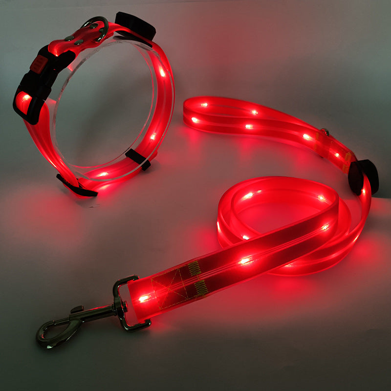 "Leuchtendes LED Hundehalsband und Leine, bunte LEDs, 360-Grad-Sichtbarkeit, sichere Nachtspaziergänge, robuster Nylonstoff."
