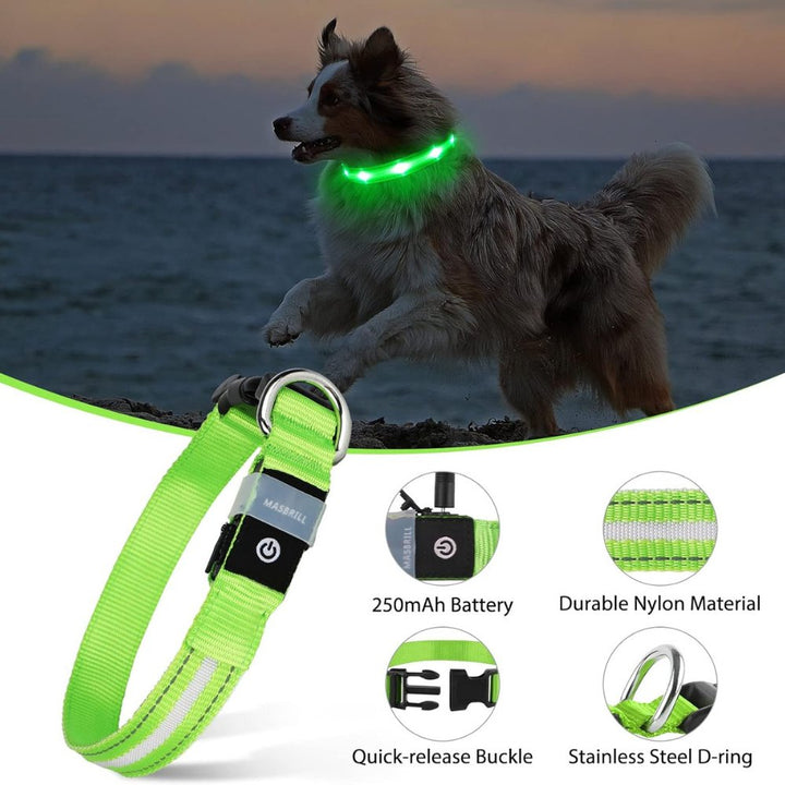 Bright LED AirTag dog collar for ultimate pet safety, tracking, and visibility during night outings.