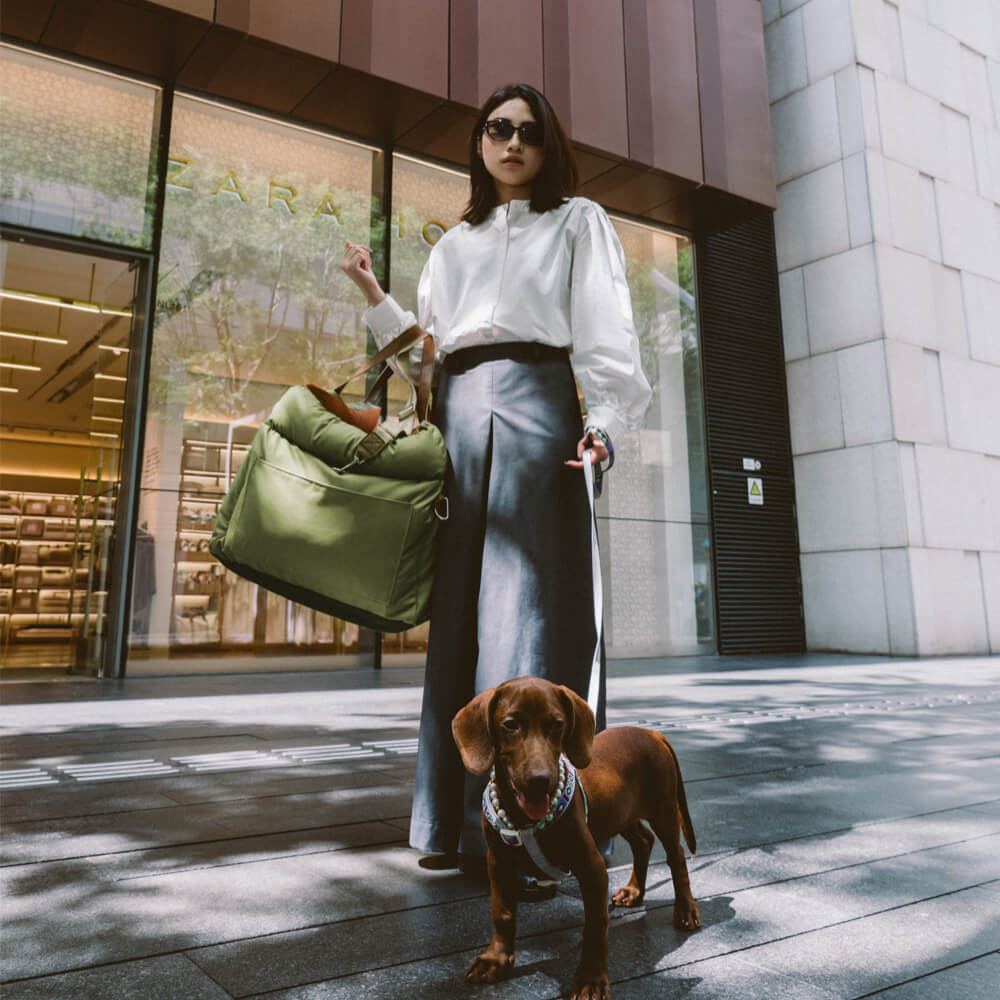 Luxuriöser Hundeautositz mit Kunstleder, Plüschfutter und Sicherheitsgurt, ideal für komfortable und sichere Autofahrten.