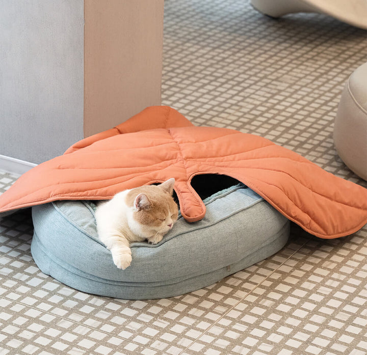 Pet's view of the soft textile of a leaf dog blanket & donut bed.