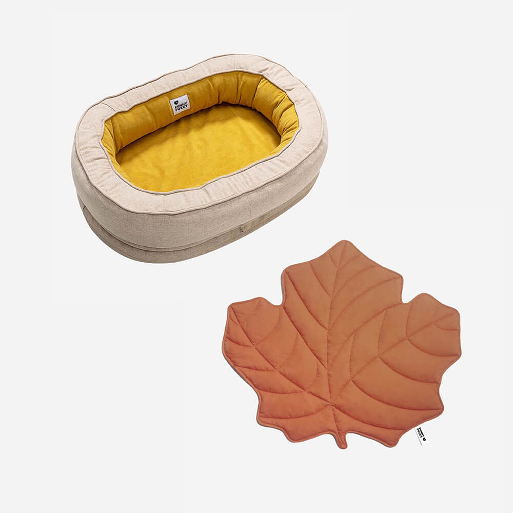 Pet supplies: leaf dog blanket and donut bed for cozy sleep.