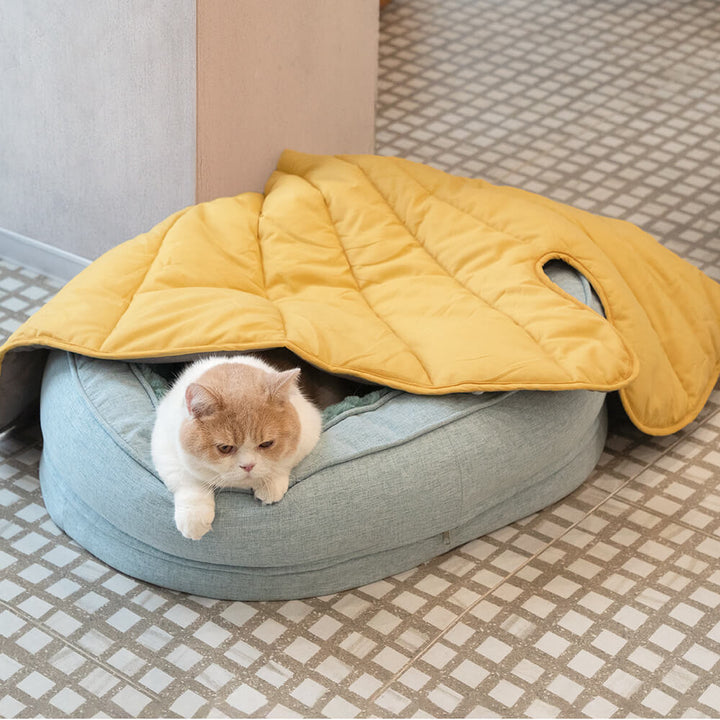 Washable luxury leaf dog blanket and donut bed for pet comfort.