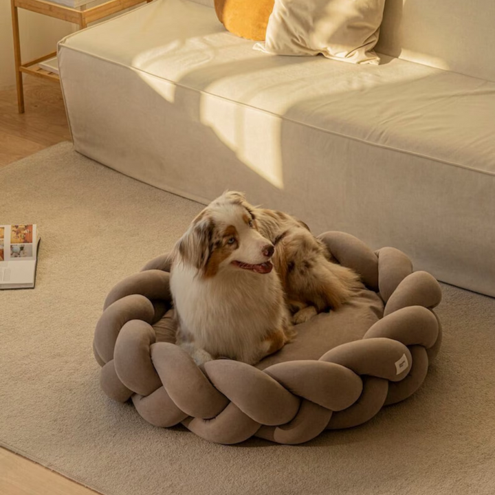 Soft, washable luxury dog bed in taupe with raised rim for head and neck support, pet comfort.