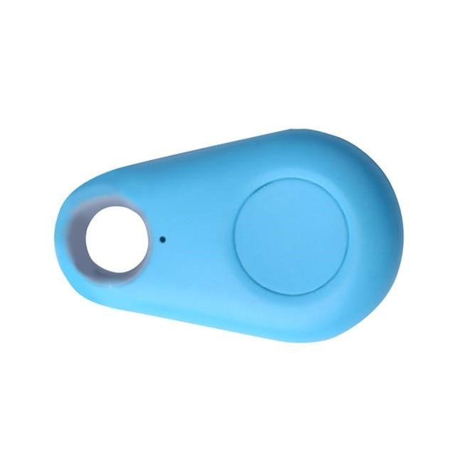 Pet GPS tracker on a cat's collar, demonstrating its lightweight and secure fit for active pets.