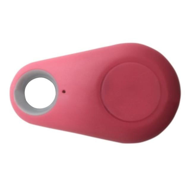 Hand holding a mini pet GPS tracker next to a smartphone displaying pet's real-time location on a map.