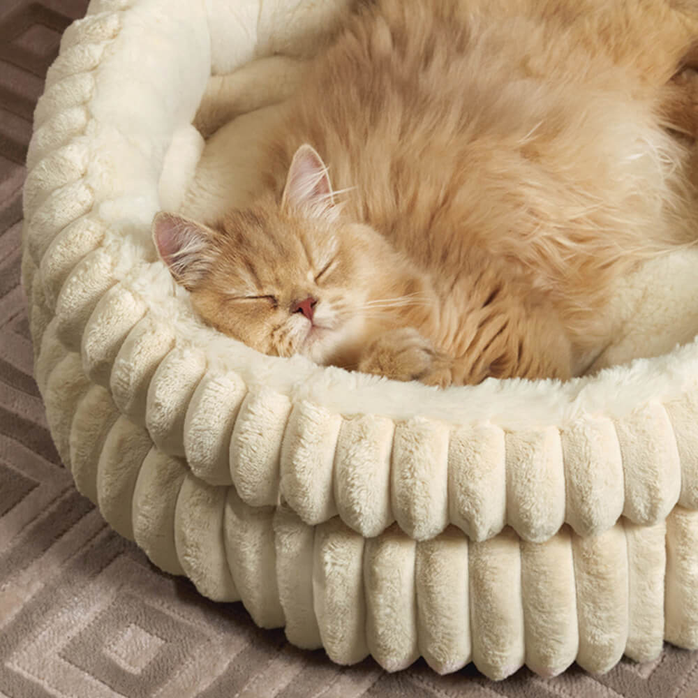Top-down view of a round minimalist dog bed with soft plush velvet and faux fur lining
