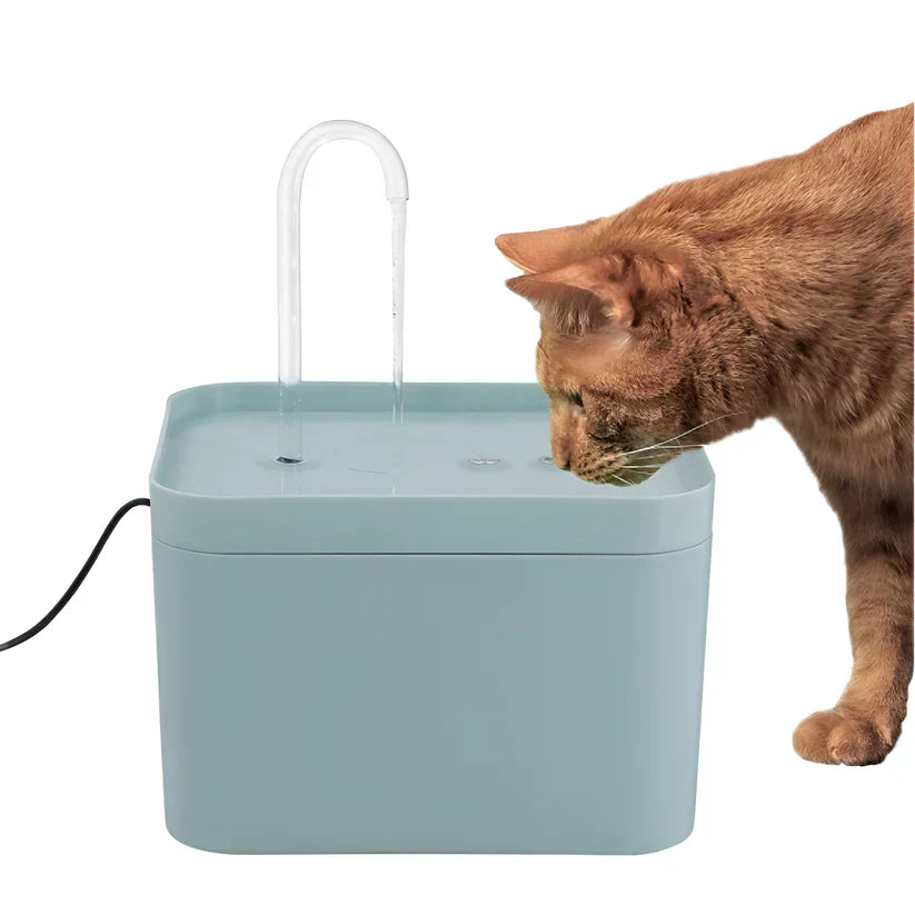 Close-up of a cat water fountain's LED indicator, highlighting clean, filtered pet water.