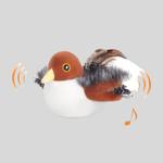 Movement + Sound