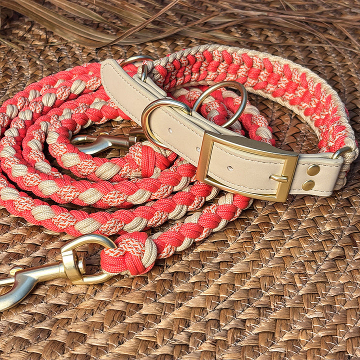 Dog wearing anti-pull collar during a walk, showing comfortable fit and control, pet supplies