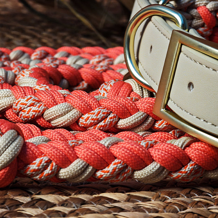 Detailed view of hand-woven texture on a durable leather and hemp rope dog collar, pet accessory