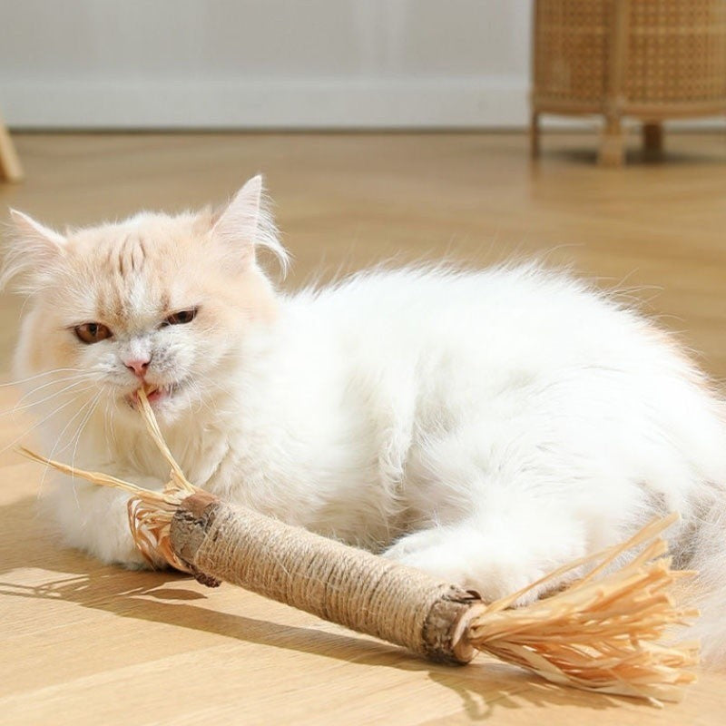 "Natürliche Kitty Zahnreinigungs Sticks für Katzen, grün, schlank, zur Zahnpflege und frischem Atem, sicher und natürlich."
