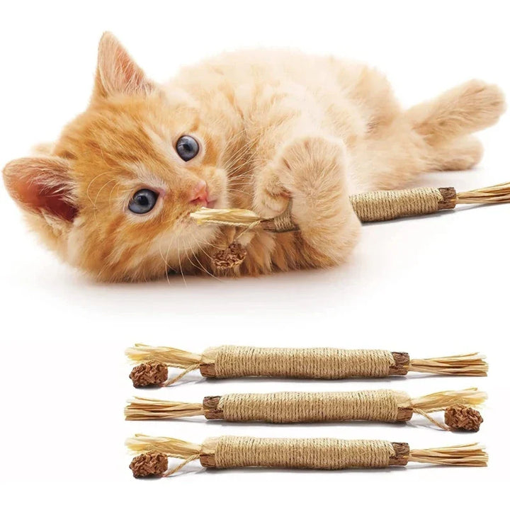"Natürliche Kitty Zahnreinigungs Sticks für Katzen, grün, schlank, zur Zahnpflege und frischem Atem, sicher und natürlich."