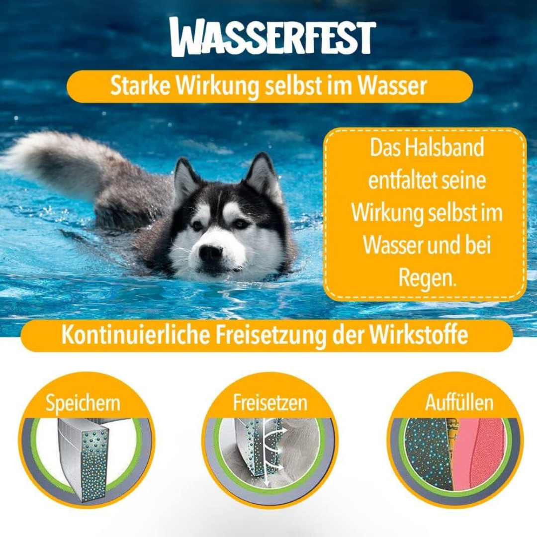 Natürlicher Zecken- und Flohschutz, NaturaGuard Halsband für Hunde, grün, anpassbar, chemiefrei, bequem und wasserdicht.